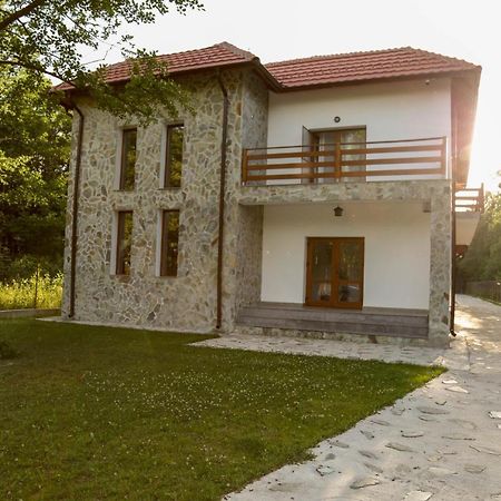 Pensiunea 2 A-Mici Runcu  Exterior photo