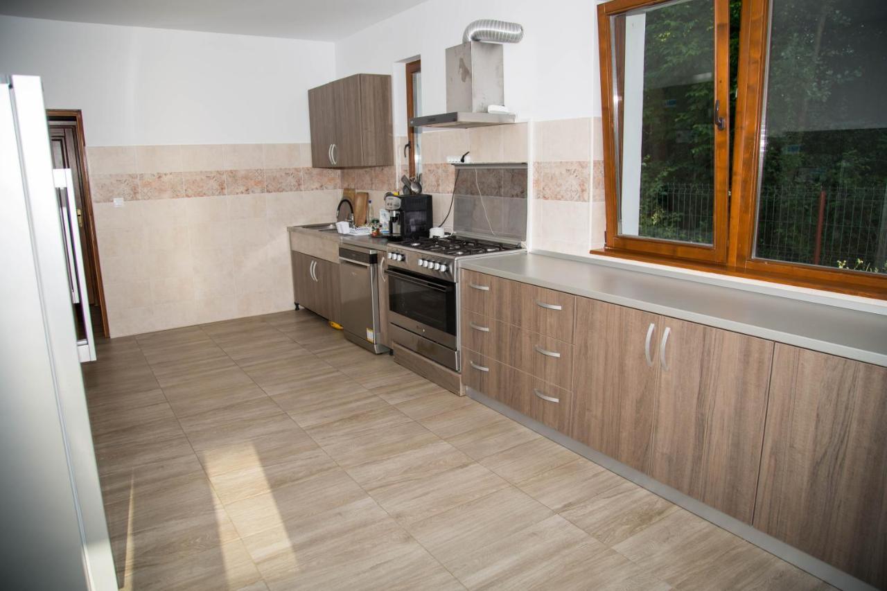 Pensiunea 2 A-Mici Runcu  Exterior photo